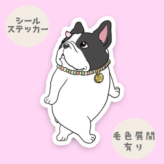 桜並木をお散歩してるフレブルちゃん。96−468