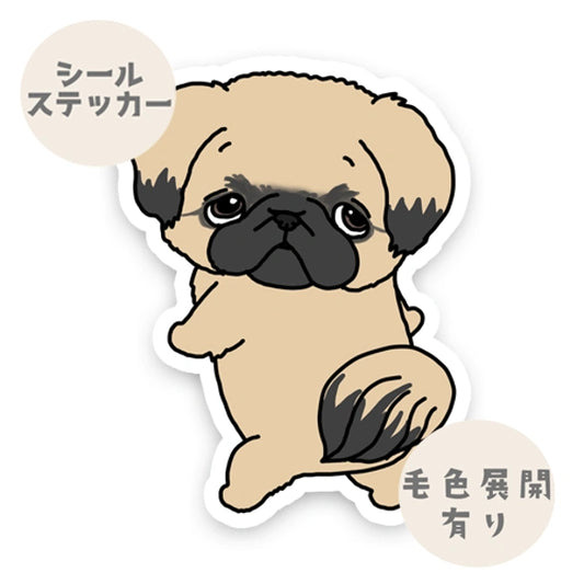 呼ばれたペキニーズちゃん。97-