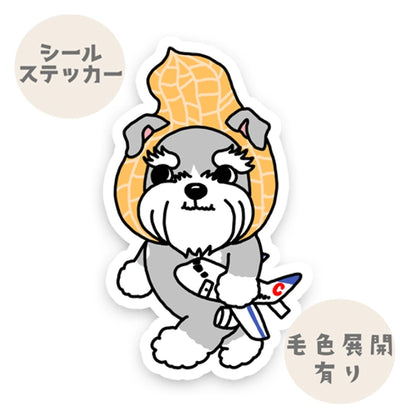 千葉を旅するシュナウザーちゃん。44-17