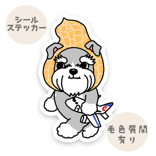 千葉を旅するシュナウザーちゃん。44-17