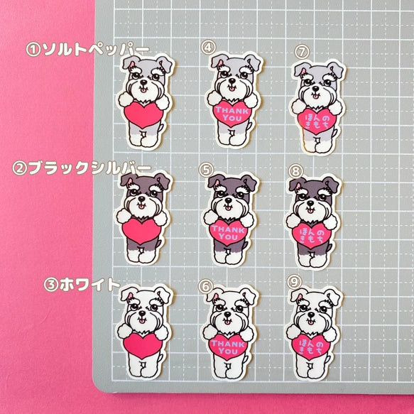 シュナウザーちゃんのきもち。44-29
