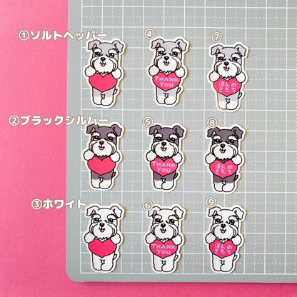 シュナウザーちゃんのきもち。44-29