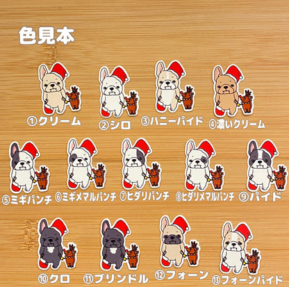 サンタフレブルちゃん。96−183
