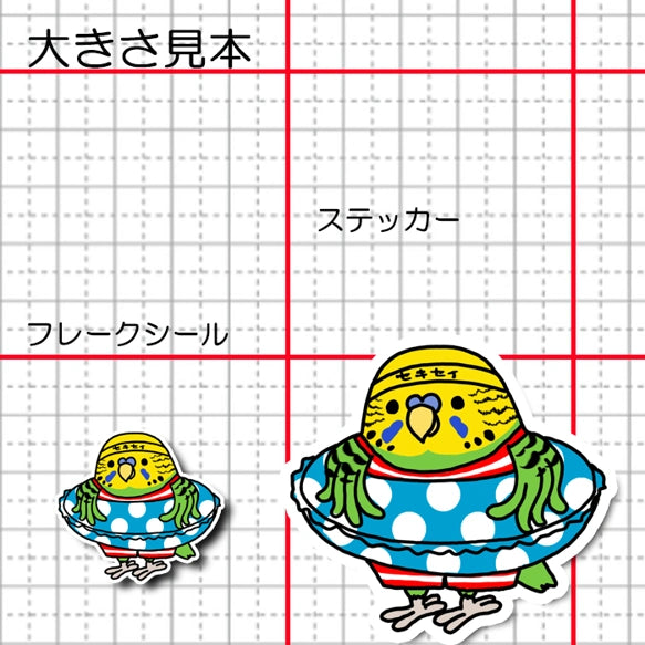 プールに入りたいセキセイインコちゃん。