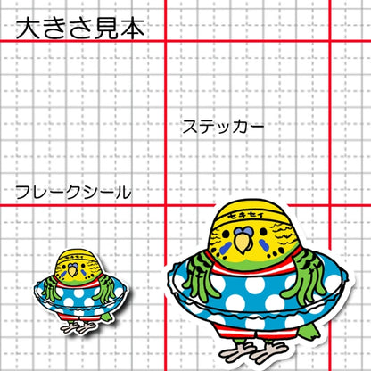プールに入りたいセキセイインコちゃん。