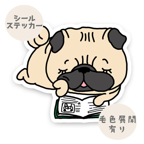 読書中のパグちゃん。76-