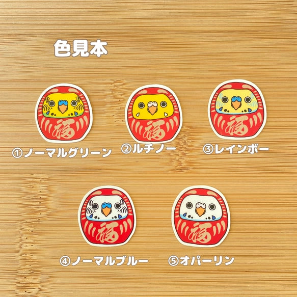セキセイインコだるま。