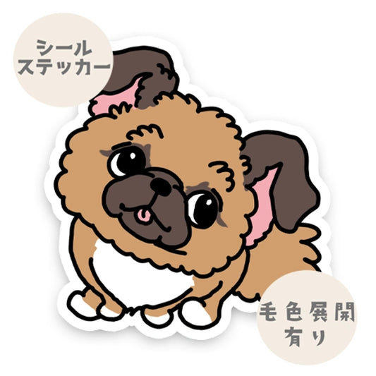 待ってるチワペキちゃん。62-4