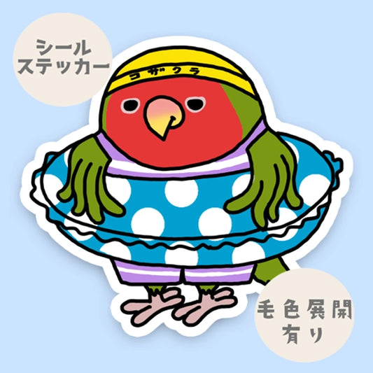 プールに入りたいコザクラインコちゃん。