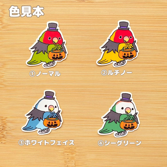 コザクラインコちゃんのハロウィン。　