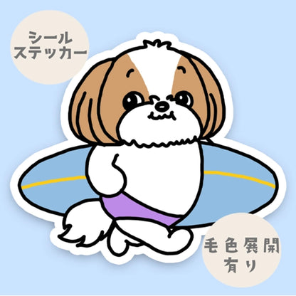 サーファーシーズーちゃん。35-19