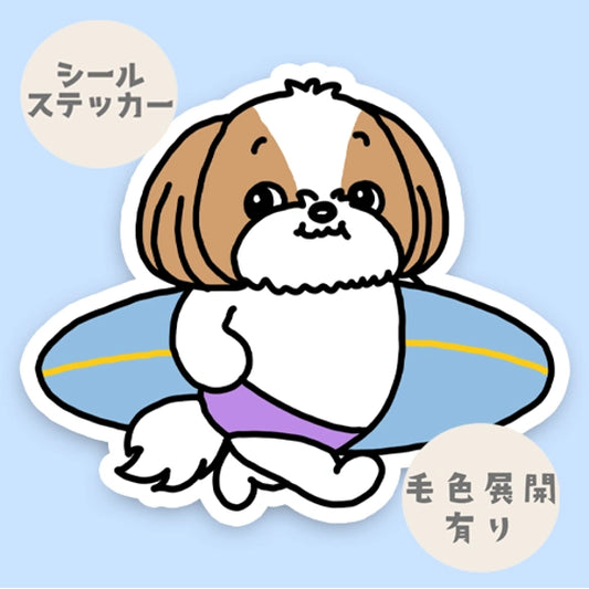 サーファーシーズーちゃん。35-19
