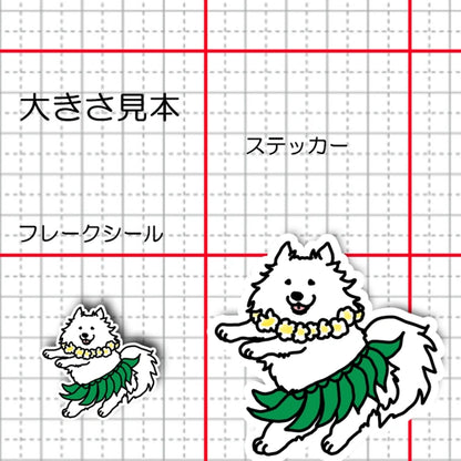 フラ日本スピッツちゃん。70-