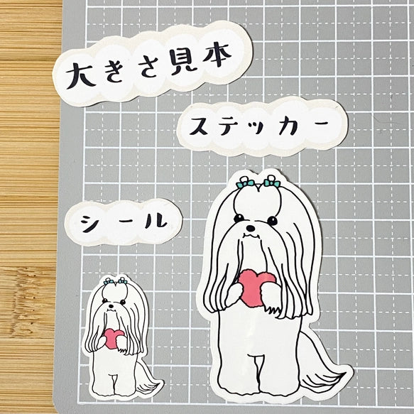 おしゃれかわいいマルチーズちゃん。109-