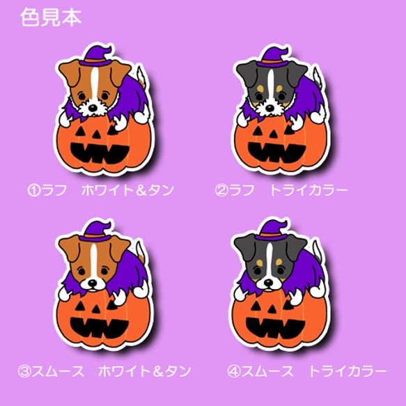 オバケカボチャとジャックラッセルちゃん。42-18