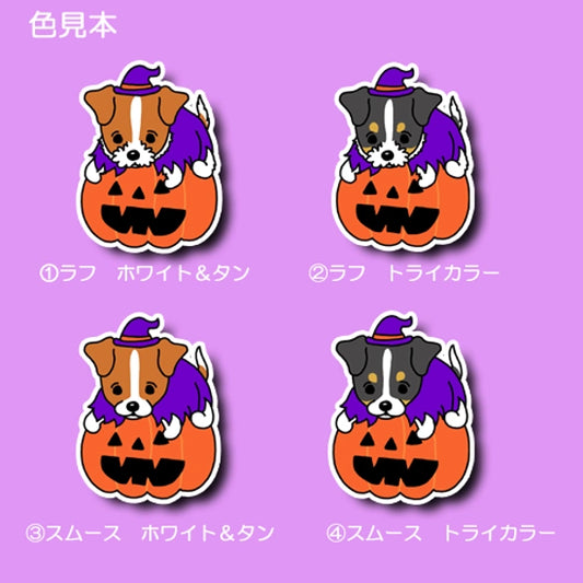 オバケカボチャとジャックラッセルちゃん。42-18