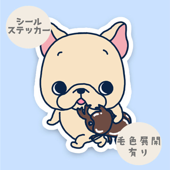 お気に入りカブトムシとお散歩フレブルちゃん。96−132