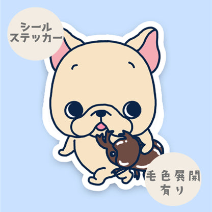 お気に入りカブトムシとお散歩フレブルちゃん。96−132