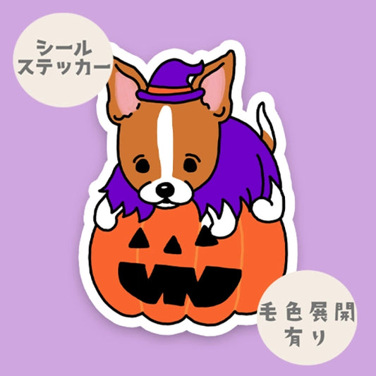オバケカボチャと立ち耳ジャックラッセルちゃん。43-17