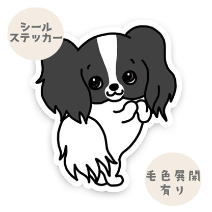 おねだりパピヨンちゃん。80-
