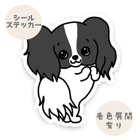 おねだりパピヨンちゃん。80-