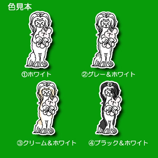 おりこうさんでお留守番してるパウダーパフちゃん。58-1