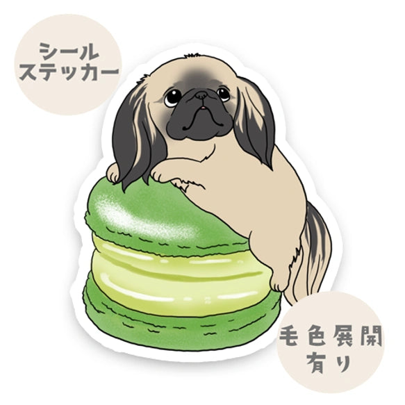 マカロン大好きペキニーズちゃん。97-