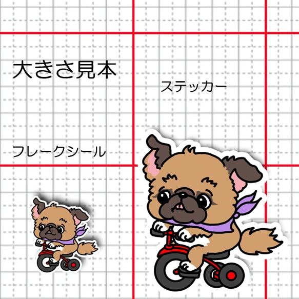 三輪車で走り続けるチワペキちゃん。62-3