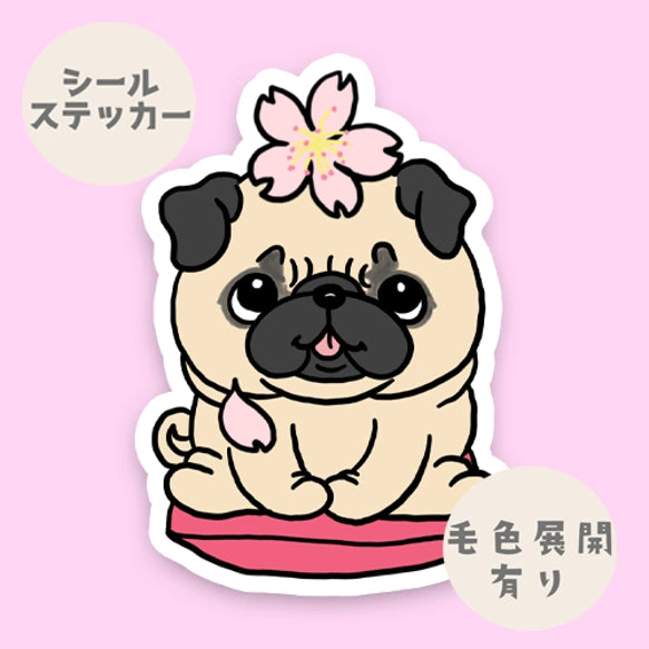パグちゃんの春のご挨拶。76-
