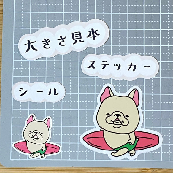 かわいいフレブルサーファー。96−129