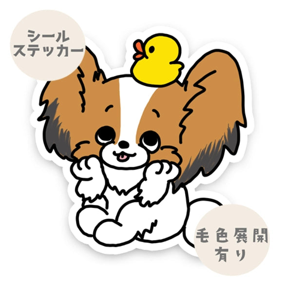 楽しみにしてるパピヨンちゃん。80-