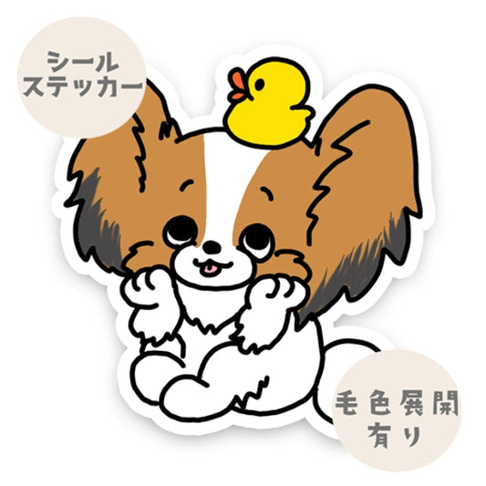 楽しみにしてるパピヨンちゃん。80-