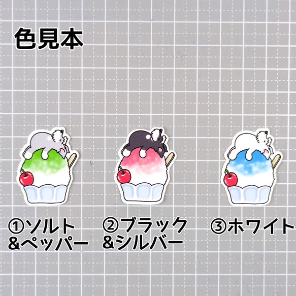 かき氷で冷えてるシュナウザーちゃん。44-6