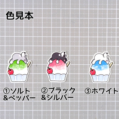 かき氷で冷えてるシュナウザーちゃん。44-6
