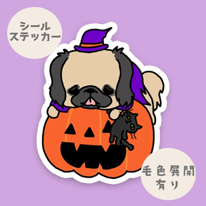 オバケカボチャとペキニーズちゃん。97-