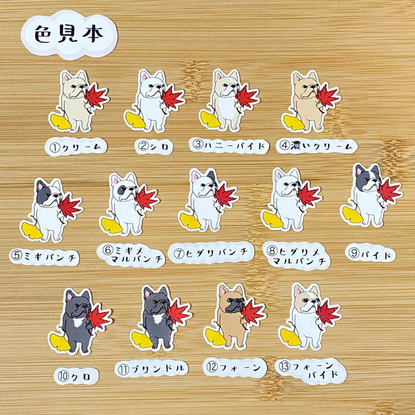 秋色を見つけたフレブルちゃん。96−224
