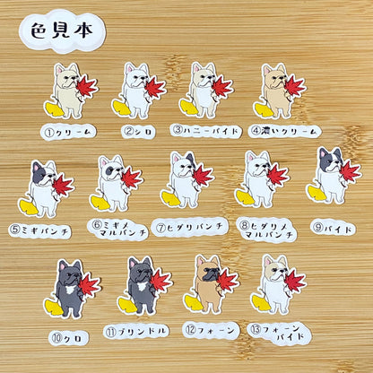 秋色を見つけたフレブルちゃん。96−224