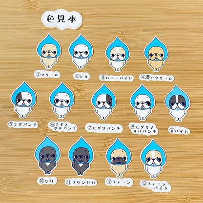 しずくフレブルちゃん。96−22