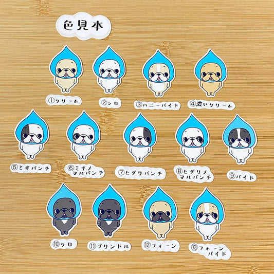 しずくフレブルちゃん。96−22