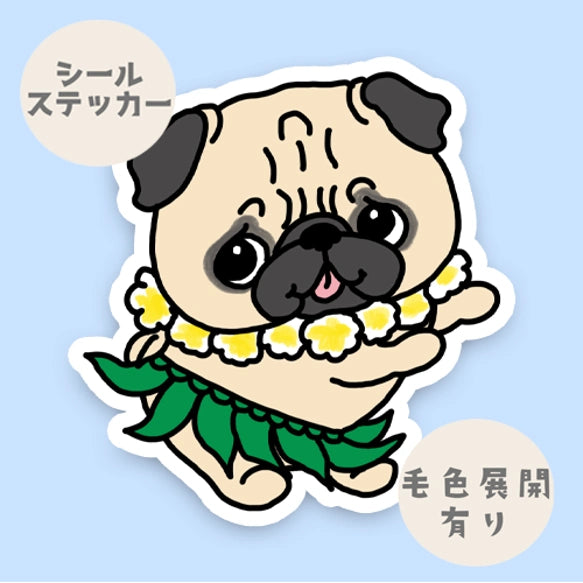 フラパグちゃん。76-