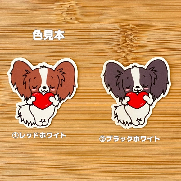 ラブパピヨンちゃん。80-