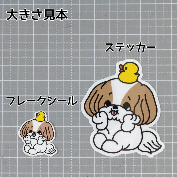 考えてるシーズーちゃん。35-4