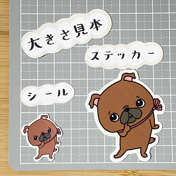 かわいいプチブラバンソンとかわいいグリフォン。86-/92,93-