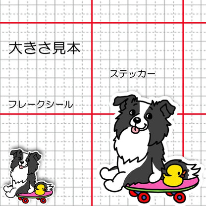誰かと遊べないかなーって待ってるボーダーコリーちゃん。106-
