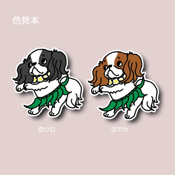 フラしてる狆ちゃん。66-18
