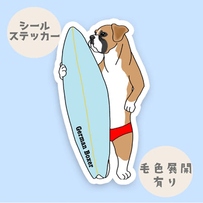 サーファーボクサー。100-
