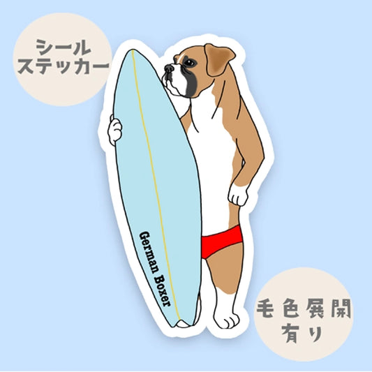 サーファーボクサー。100-