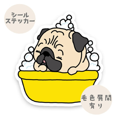 パグちゃんのバスタイム。76-
