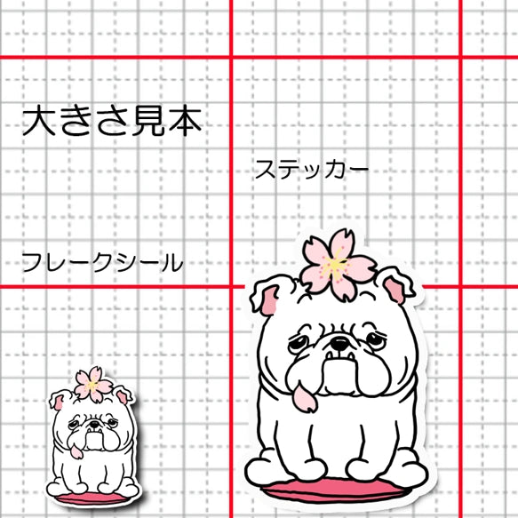 ブルドッグちゃんの春のご挨拶。95-