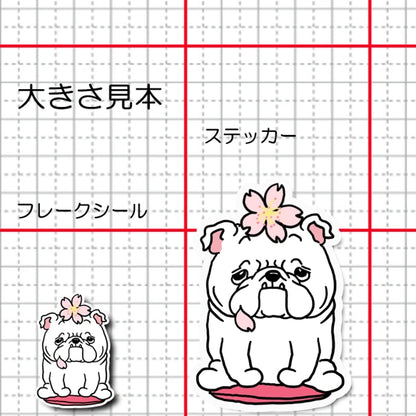 ブルドッグちゃんの春のご挨拶。95-